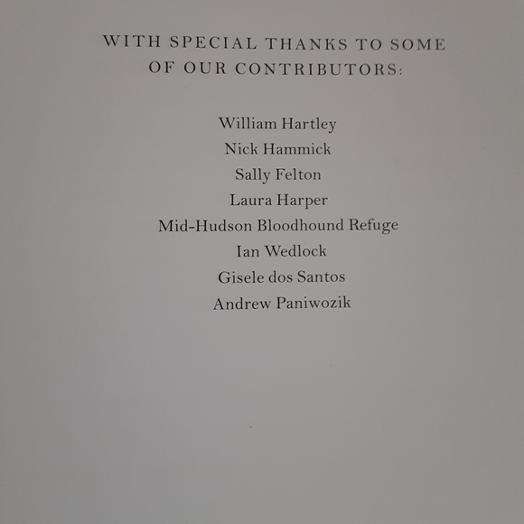 Dogs Hanging out of Windows - Picture 11 of 11